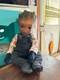 OOAK Groot Reborn Doll With Custom Clothes
