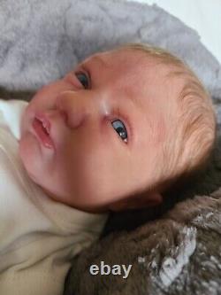 Ooak reborn baby doll logan awake