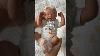 Pack A Reborn Doll Order With Me Reborns Boxopening Reborndoll Dolls Rebornbabydolls Cute