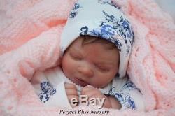 Pbn Yvonne Etheridge Baby Girl Doll Realborn Ana By Bountiful Baby 0118