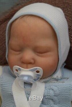 Pbn Yvonne Etheridge Reborn Baby Doll Boy Sculpt Luciano By Cassie Brace 0519