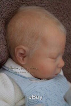 Pbn Yvonne Etheridge Reborn Baby Doll Boy Sculpt Luciano By Cassie Brace 0519