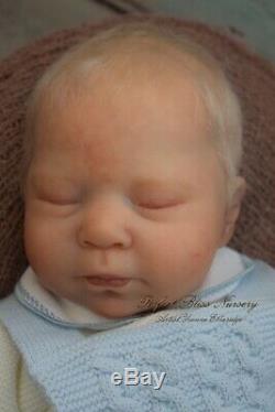 Pbn Yvonne Etheridge Reborn Baby Doll Boy Sculpt Luciano By Cassie Brace 0519