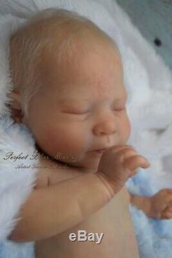 Pbn Yvonne Etheridge Reborn Baby Doll Boy Sculpt Luciano By Cassie Brace 0519