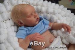 Pbn Yvonne Etheridge Reborn Baby Doll Boy Sculpt Twin B By Bonnie Brown 0517