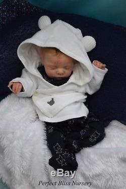Pbn Yvonne Etheridge Reborn Doll Baby Boy Luxe By Cassie Brace 0119
