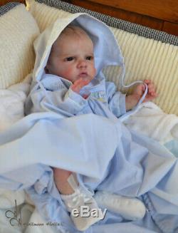 Prototype Atticus By Laura Lee Eagles Reborning Hollmann Hollis (little Chicks)