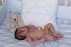 REDUCED Dylan #6 awake full bodied silicone reborn doll/baby by jo birch