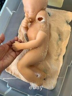 Rare Somso John Doll By Holt Anatomically Correct Hospital Mannequin Reborn 15