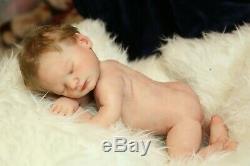 Ready To Ship Full Body Silicone Baby Girl Doll Cirrus COA artist Proof