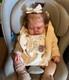 Realistic 24 Weighted Reborn Baby Dolls Toddler Hand-Rooted Hair Boy Girl Gift