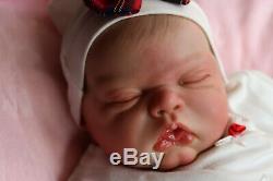 Realistic Reborn Doll 21 Celeste Musgrove Chunky Baby By Marie 9yrs Ghsp