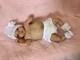 Reborn BABY? Authentic Reborn Sculpt? Limited Edition by experienced Artist