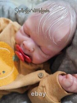 Reborn Baby Boy Gideon COA Included/OOAK. Ultra Realistic! Dawn McLeod Sculpt