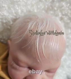 Reborn Baby Boy Gideon COA Included/OOAK. Ultra Realistic! Dawn McLeod Sculpt