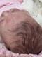 Reborn Baby Doll Artist Rose Bud Collectible Baby Girl