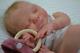 Reborn Baby Doll Maeve by Cassie Brace WithCOA Limited Edition