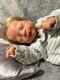 Reborn Baby Doll Timothy By Sabrina Hergarten Reborned By Imani Hiler