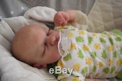 Reborn Baby Evan Partial Silicone Full Limbs 4lbs 17in OOAK Painted Hair