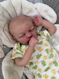 Reborn Baby Evan Partial Silicone Full Limbs 4lbs 17in OOAK Painted Hair