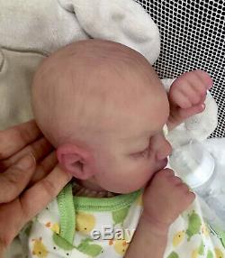 Reborn Baby Evan Partial Silicone Full Limbs 4lbs 17in OOAK Painted Hair