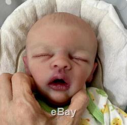 Reborn Baby Evan Partial Silicone Full Limbs 4lbs 17in OOAK Painted Hair