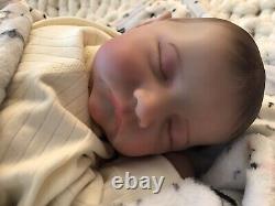 Reborn Baby Girl Doll 19 Soft Floppy Body Lifelike Newborn 5 lbs Hand Painted