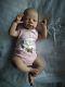 Reborn Baby Girl Ellis by Tina Kewy Top Artist Olga Saranchuk Sold Out Kit HTF