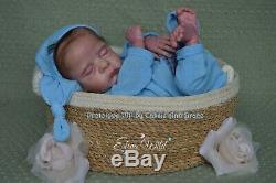 Reborn Baby Preemie Prototype PIP by Cassie Ann Brace, IIORA