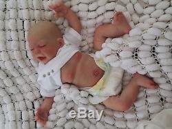 Reborn Baby Realistic Doll & Belly Plate By Sunbeambabies, Puddin Bountiful Baby