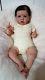 Reborn Big Baby Boy Saskia by Bonnie Brown Realistic Doll Micro Rooted Hair