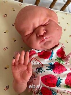 Reborn Conjoined Twins Gianna and Giulia Chenza Dolls Realistic Baby Doll