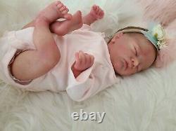 Reborn Doll Charlotte By Laura Lee Eagles