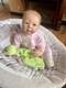 Reborn Doll Jonathan Sculpt by Adrie Stoete 3/4 Limbs Rare SOLE Cute