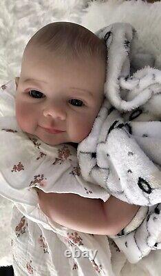 Reborn Dolls Soft Vinyl Cloth Body 5 lbs Realistic 19 Baby Girl Doll Lifelike