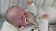 Reborn Isabella 20 newborn/preemie, reborn, fully rooted, vinyl, babydoll