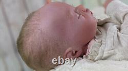 Reborn Isabella 20 newborn/preemie, reborn, fully rooted, vinyl, babydoll