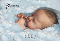 Reborn Newborn Baby Boy Cayle Olga Auer/mimadolls Artistsdollsl. Editioniiora