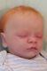 Reborn baby doll Realborn Christopher by bountiful baby