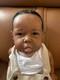 Reborn baby dolls coa