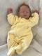 Reborn baby dolls pre owned