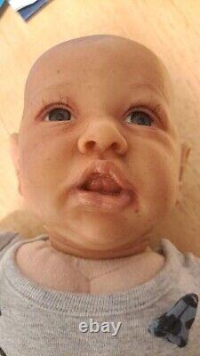 Reborn baby dolls pre owned