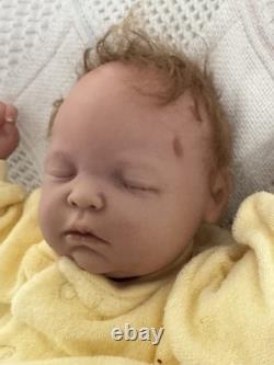 Reborn baby dolls pre owned