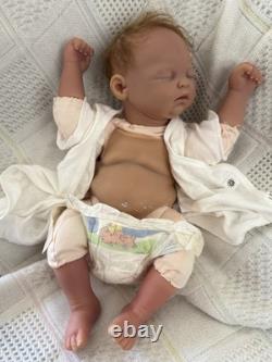 Reborn baby dolls pre owned