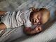 Reborn doll Americus LLE Laura Lee Eagles Limited Edition kit
