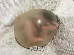 Revolutionary Womb Baby Reborn Doll