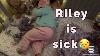 Riley Is Sick Bunnies Nursery