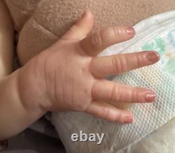 SEBASTIAN By OLGA AUER COAOrange Blossom Nursery