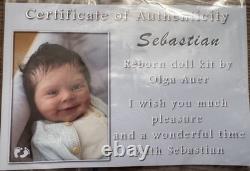 SEBASTIAN By OLGA AUER COAOrange Blossom Nursery