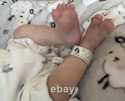 Sculpt Bountiful Baby Real Born Darren Reborn Doll